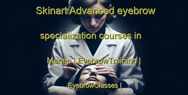 Skinart Advanced eyebrow specialization courses in Manee | EyebrowTraining | EyebrowClasses | SkinartTraining-United States